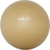 Amila Μπάλα Pilates 65CM 1350G Χρυσή Amila Μπάλα Pilates 65CM 1350G Χρυσή