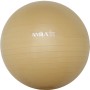 Amila Μπάλα Pilates 65CM 1350G Χρυσή