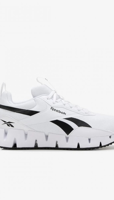 Reebok Ανδρικά παπούτσια running Zig Dynamica άσπρα