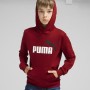 Puma Παιδική Μπλούζα Φούτερ με Κουκούλα Μπορντώ