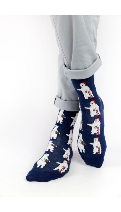 Crazy Socks Κάλτσες  με σχέδια Polar Bear