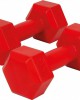 Amila  πλαστικά βάρη  κόκκινο (2X1Kg)