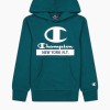 Champion Hooded Sweatshirt 306169