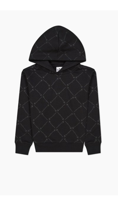 Champion Girls Hooded Sweatshirt 404447