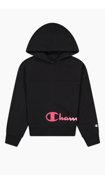 Champion Hoodes Sweatshirt 404513
