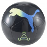 Puma Icon Ball  083628-10