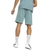 Puma ESS+ 2 Col Shorts 10" 