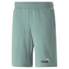 Puma ESS+ 2 Col Shorts 10" 