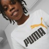 Puma Ess+2 Col Logo Tee