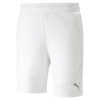 Puma Evostripe Shorts 8''