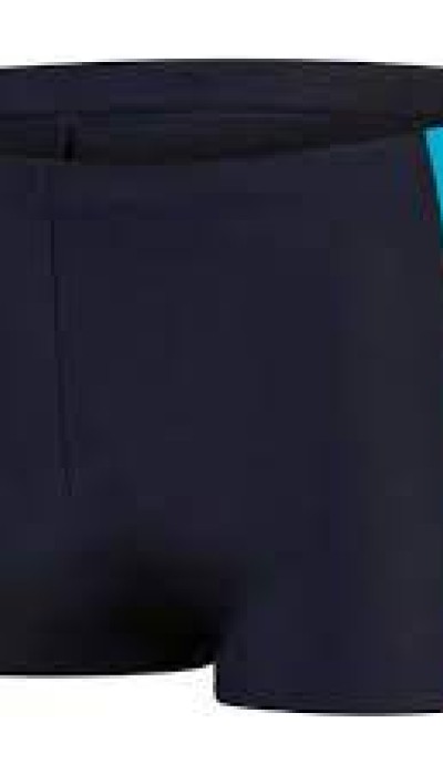 Speedo Dive aquashort