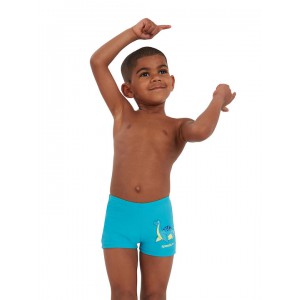 Speedo Kids swimshorts for boys Tommy Turtle Aquashort blue