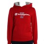 Champion Boys Hooded Sweatshirt 303814