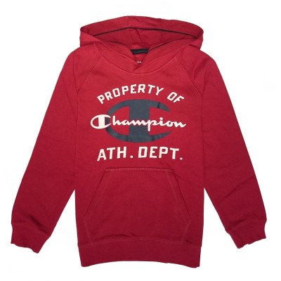 Champion Boys Hooded Sweatshirt 304295