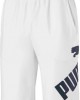 Puma Big Logo Shorts 