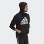 Adidas Essentials Fleece Big Logo Hooodie